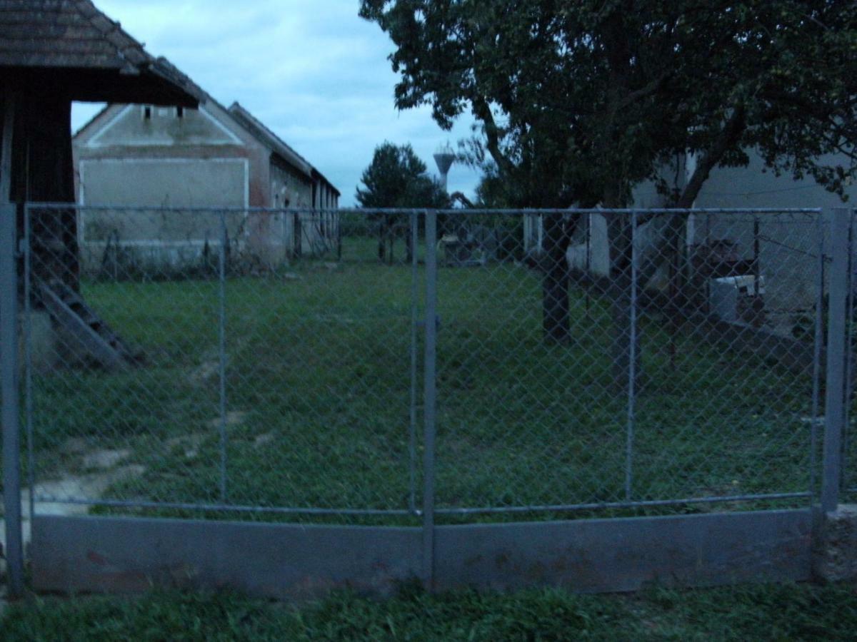 Villa 98 Petofi Utca Balatonmagyarod Esterno foto